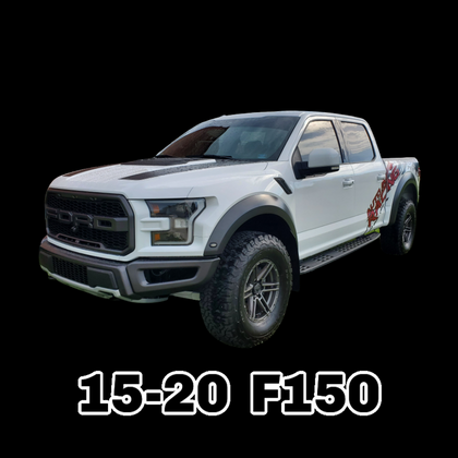 2015-2020 F150 13th Generation