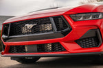 Procharger 2024 Mustang GT and Dark Horse Stage 2 Intercooled system with P-1X(1EB212-SCI)