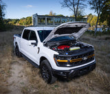 2021+ Ford F-150 5.0L V8 Magnuson TVS2650 Supercharger System