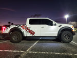 2019 Ford F150 Raptor